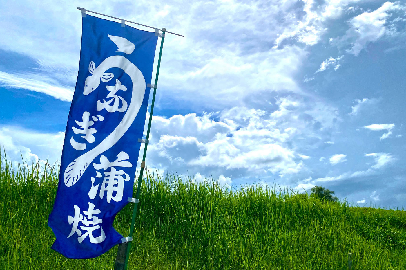 木目の表札
